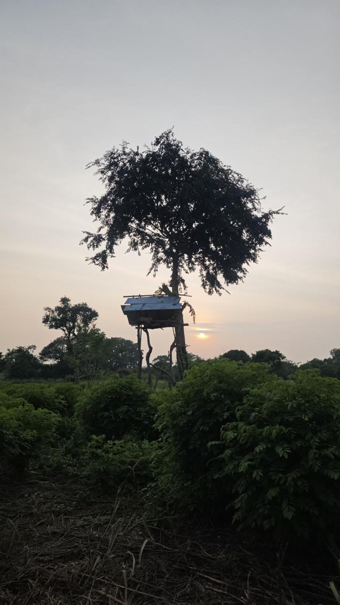 Kurumba Lodge Уилпатту Номер фото